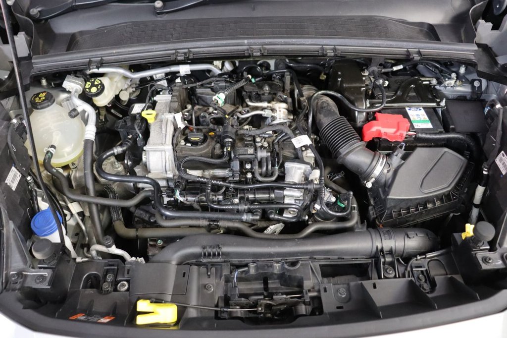 Used Ford Puma 2023 for sale - 77594639: Photo 15