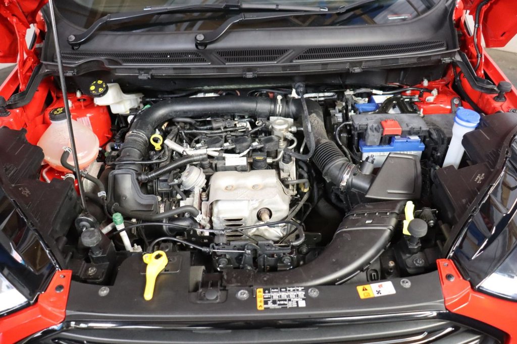 Used Ford Ecosport 2019 for sale - 76509500: Photo 16