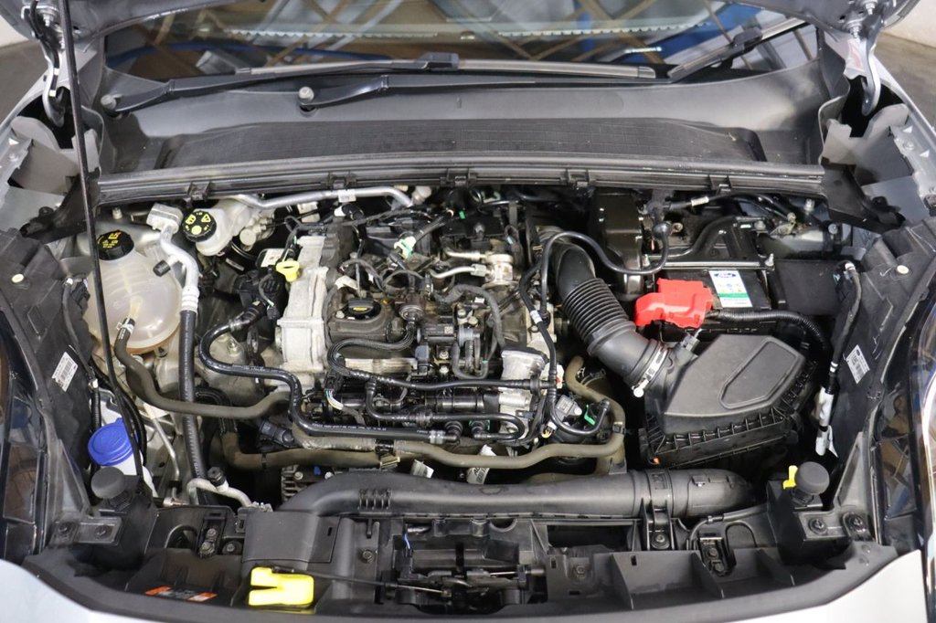 Used Ford Puma 2023 for sale - 76631732: Photo 17