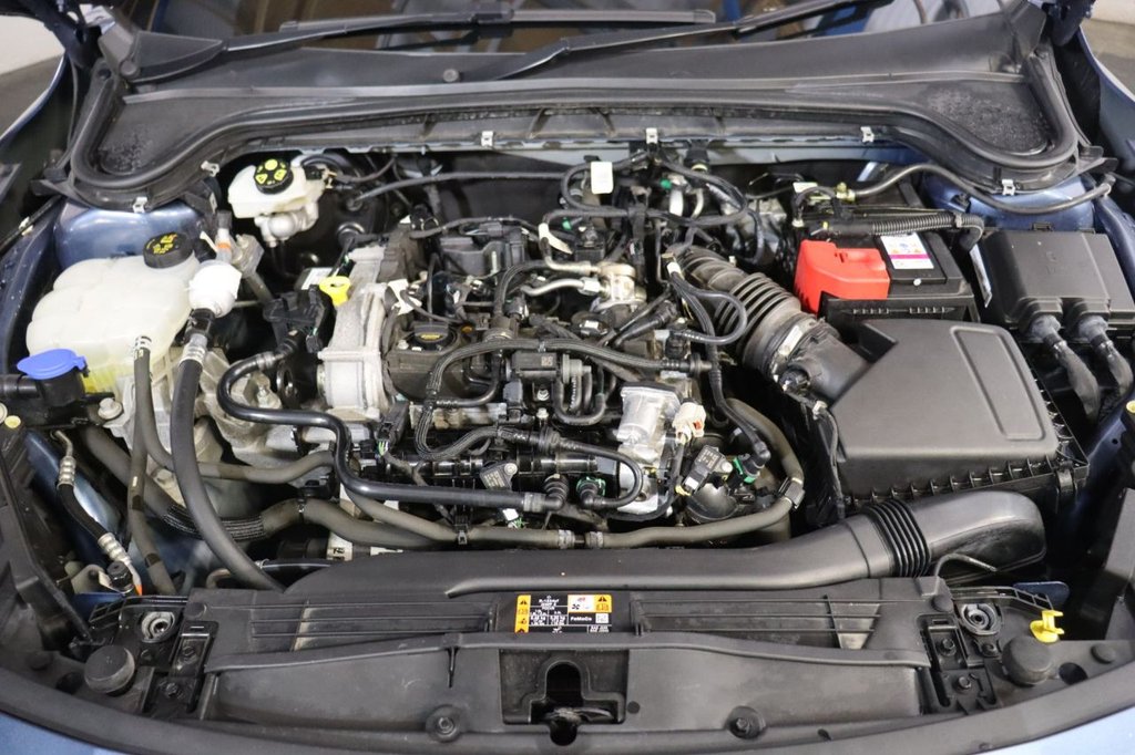 Used Ford Focus 2023 for sale - 76559287: Photo 16