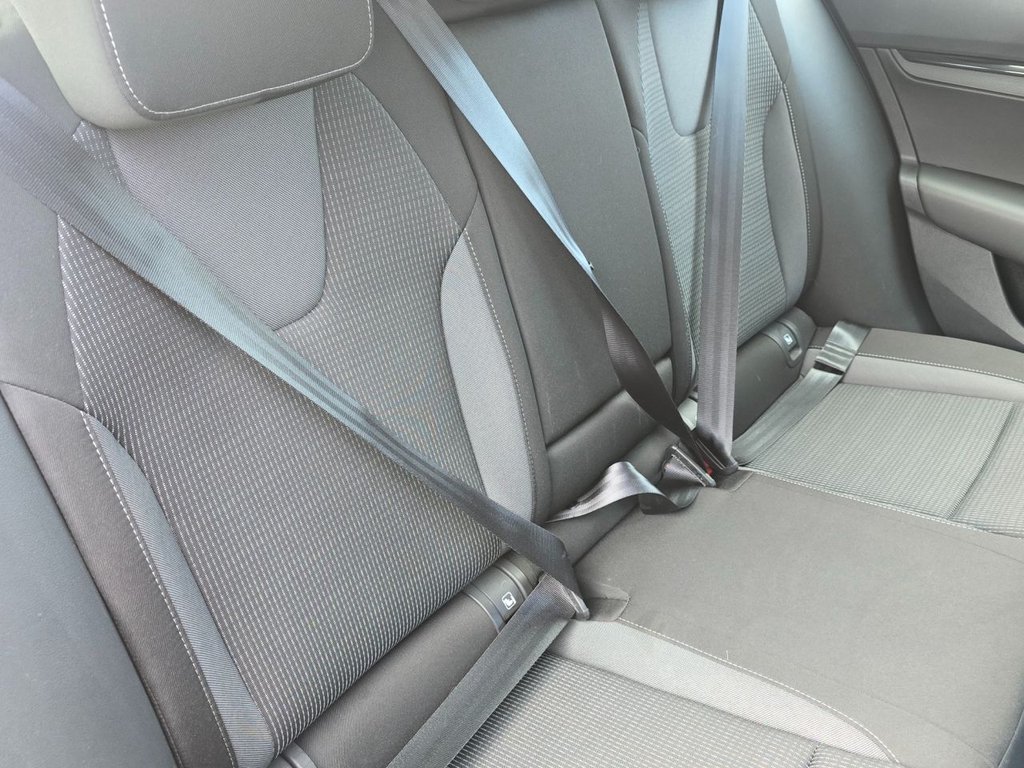 Used Skoda Octavia 2021 for sale - 76356934: Photo 12