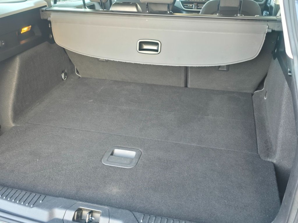 Used Ford Focus 2019 for sale - 76900887: Photo 7