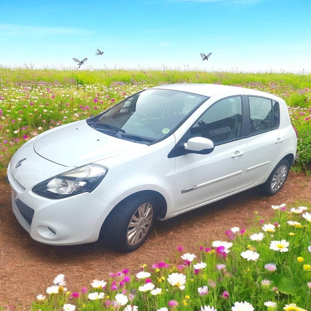 Used Renault Clio 2012 for sale - 76406236: Photo 1