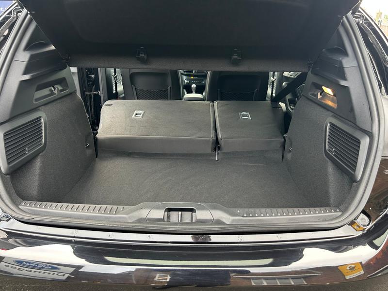 Used Ford Focus 2024 for sale - 77763576: Photo 15