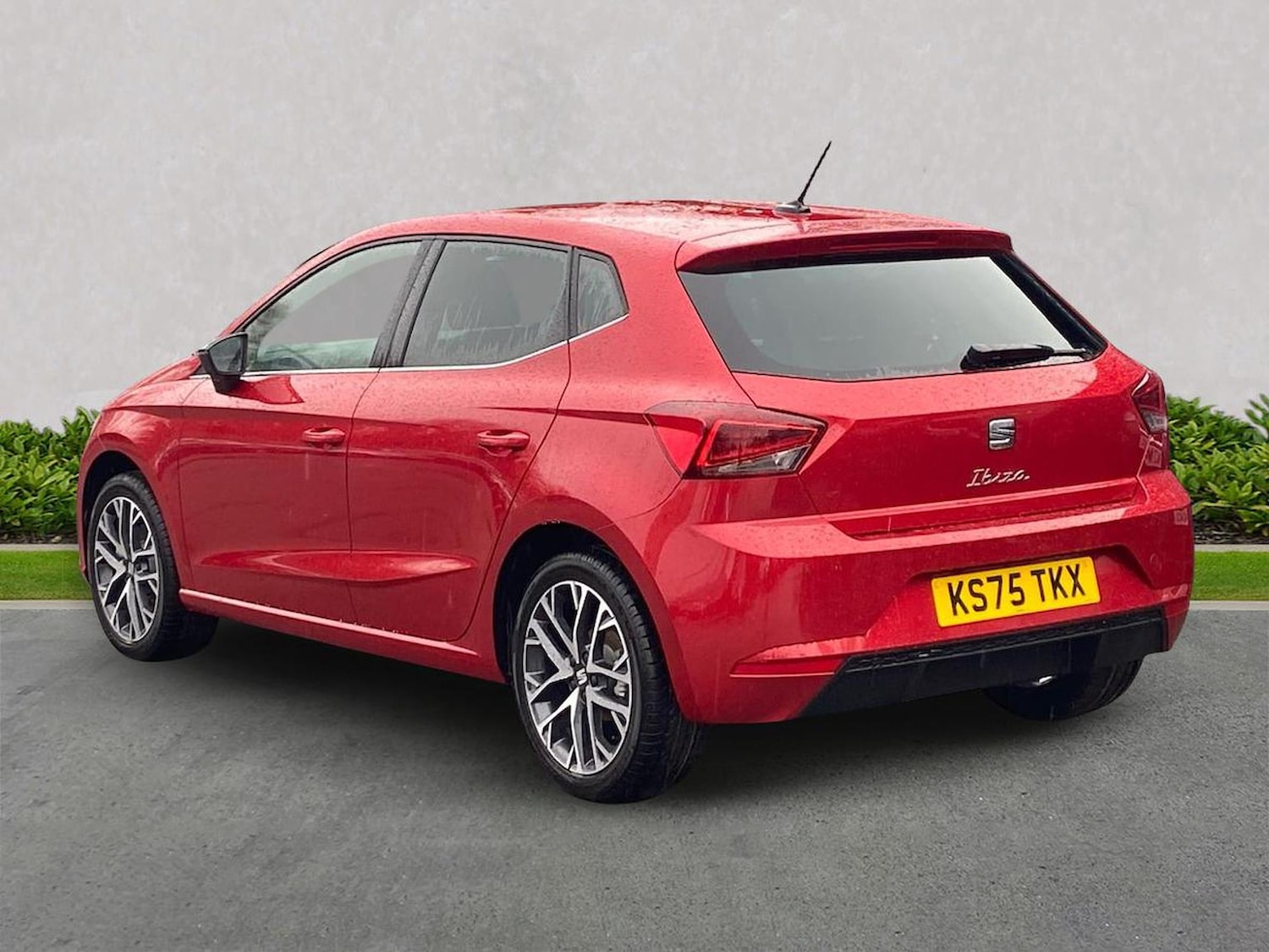 Used SEAT Ibiza 2025 for sale - 77488493: Photo 2