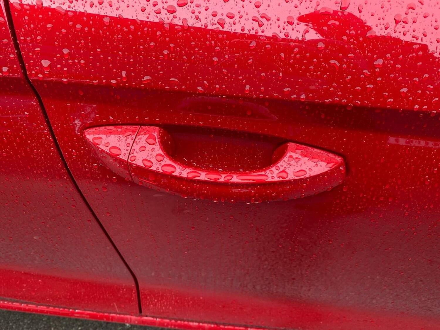 Used SEAT Ibiza 2025 for sale - 77488493: Photo 36