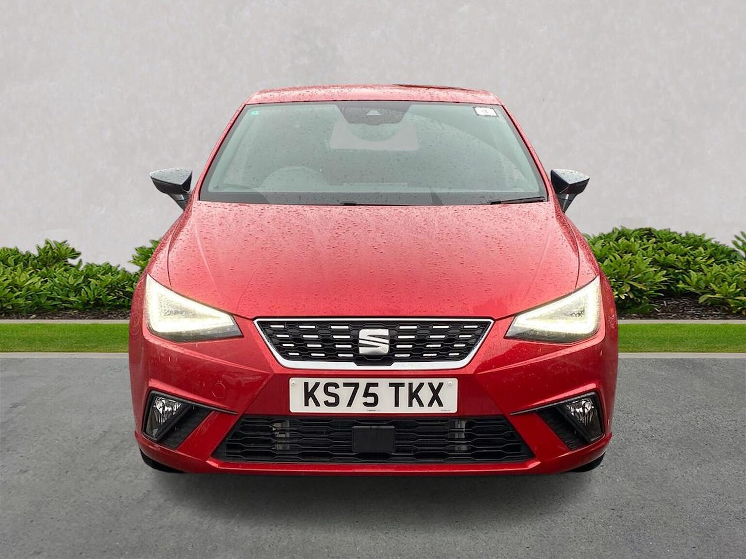 Used SEAT Ibiza 2025 for sale - 77488493: Photo 5