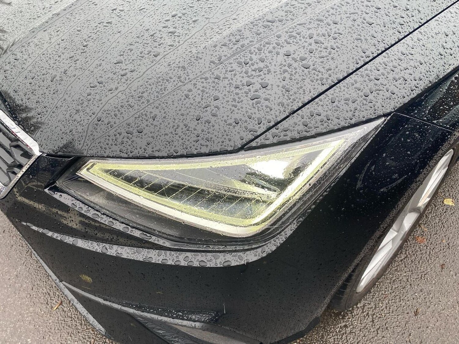 Used SEAT Ibiza 2024 for sale - 76859230: Photo 32