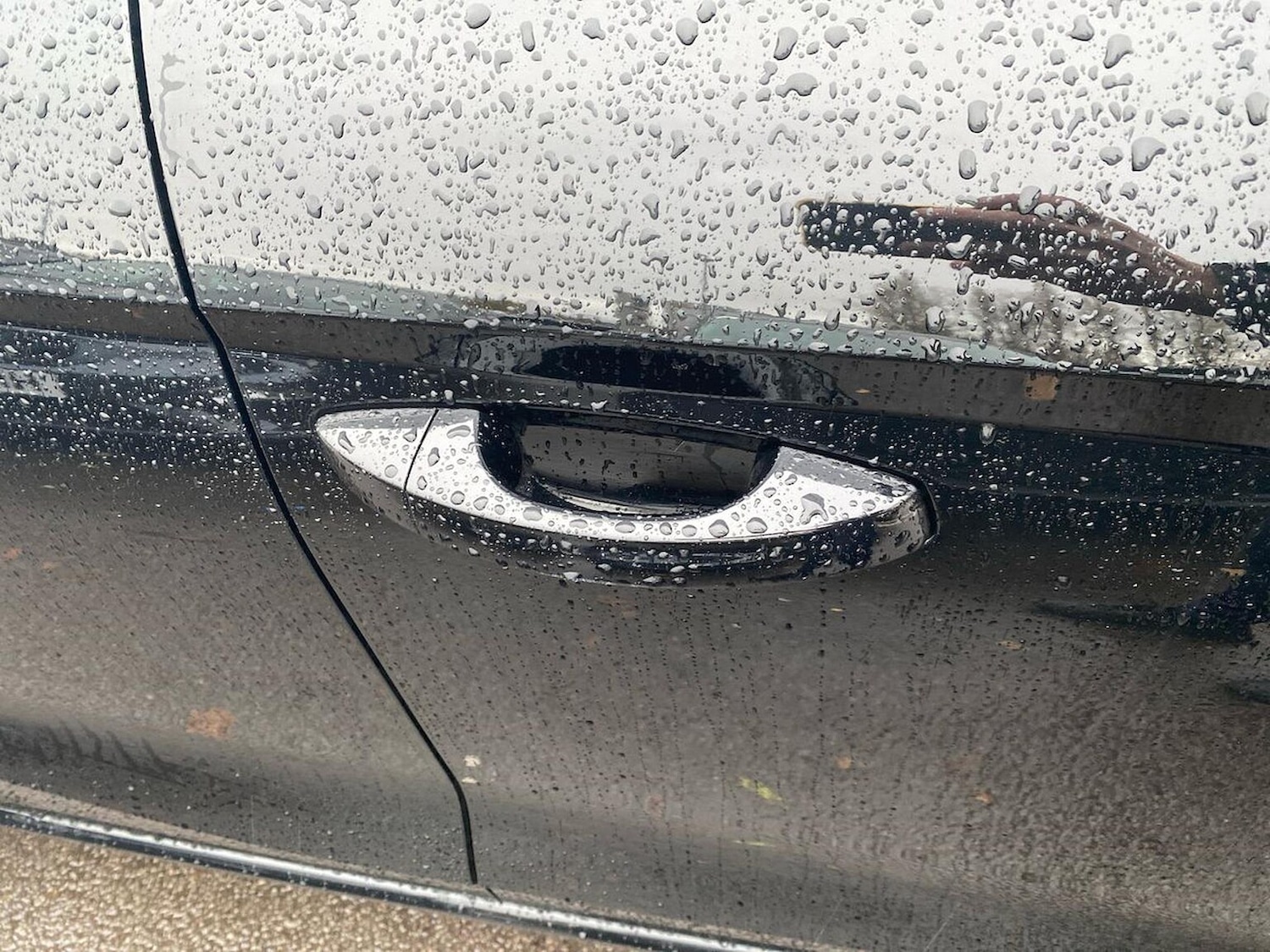 Used SEAT Ibiza 2024 for sale - 76859230: Photo 35