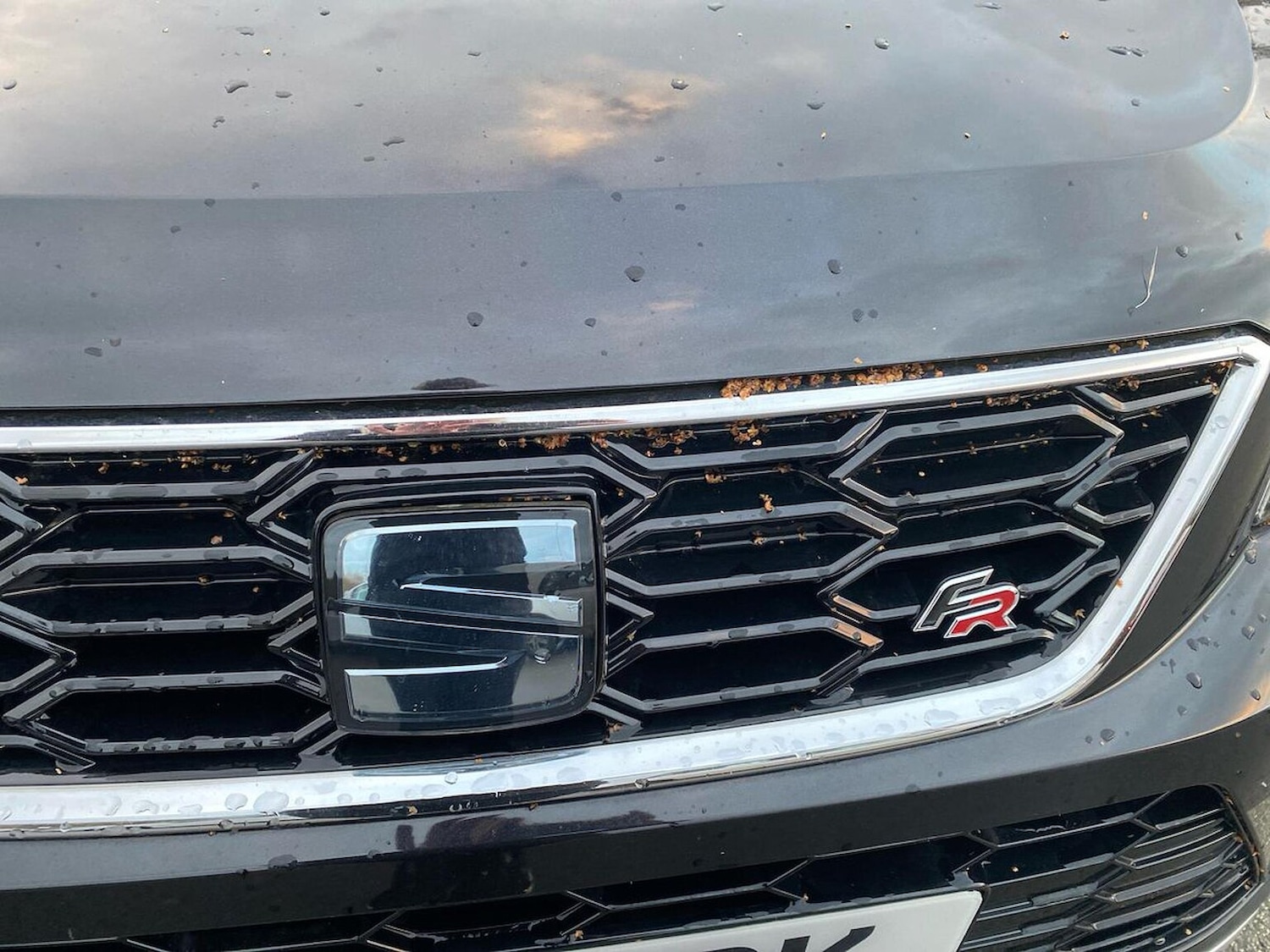 Used SEAT Ateca 2019 for sale - 76693452: Photo 33