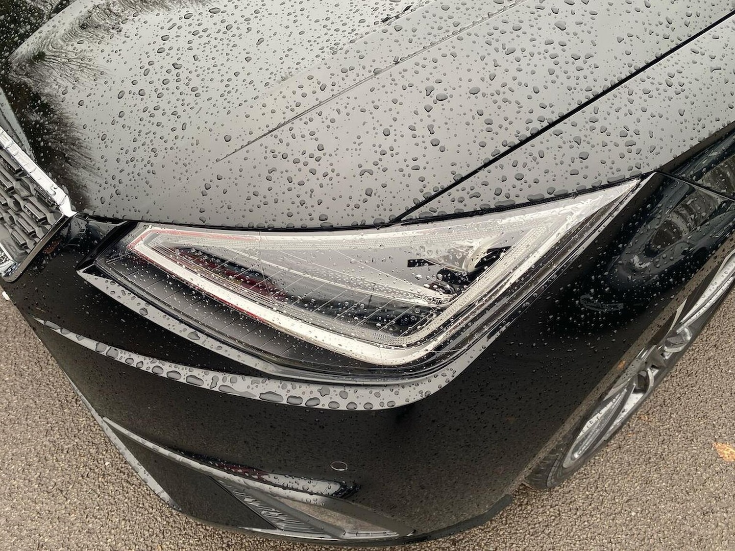 Used SEAT Ibiza 2025 for sale - 76940495: Photo 33