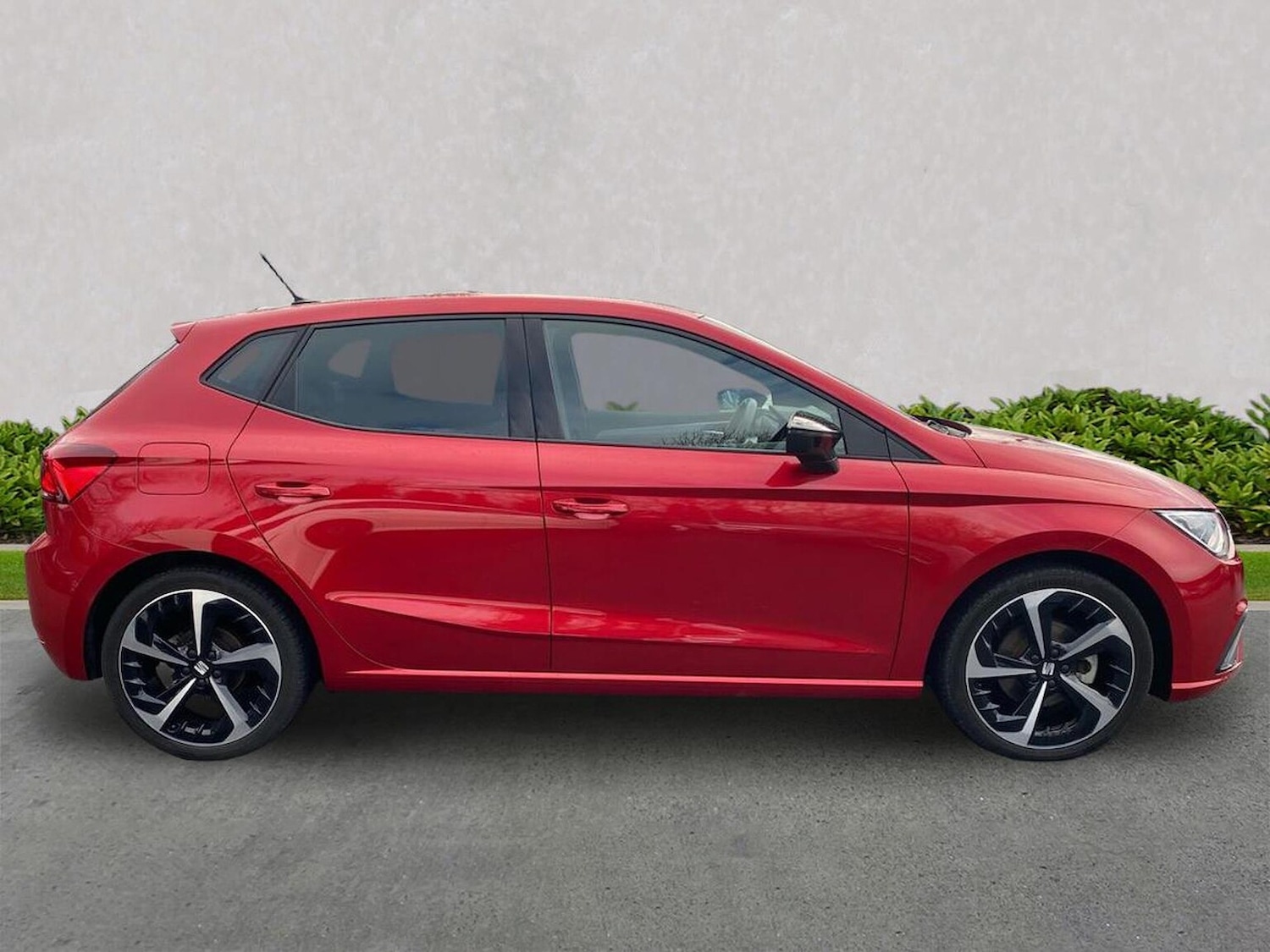 Used SEAT Ibiza 2023 for sale - 77687989: Photo 3