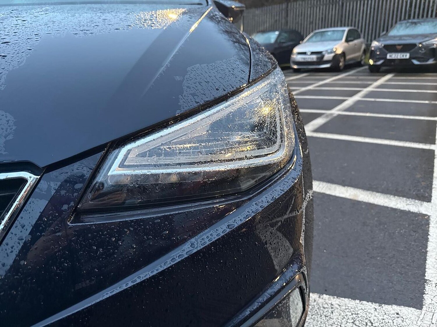 Used SEAT Ibiza 2022 for sale - 76951156: Photo 34