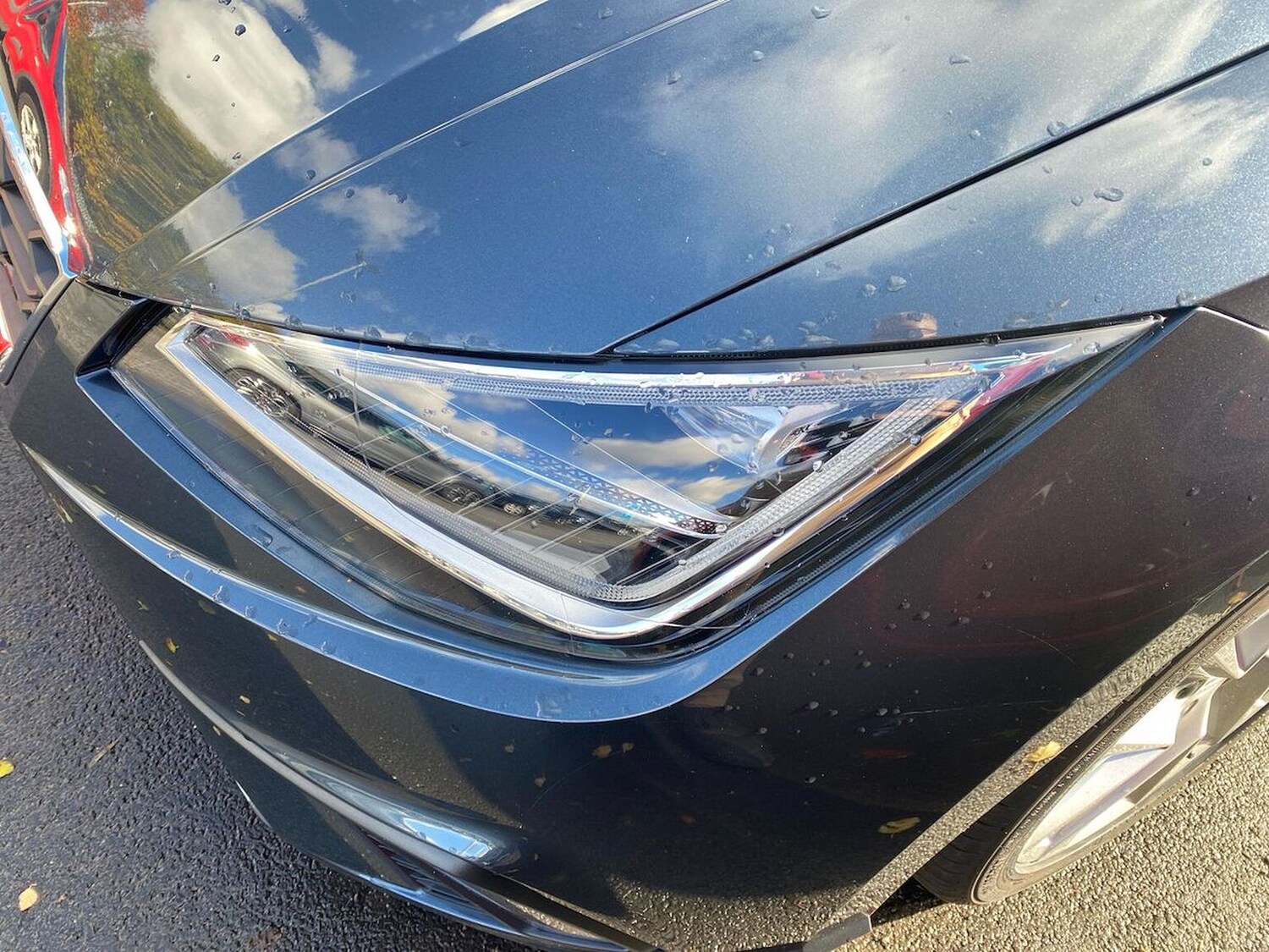 Used SEAT Ibiza 2021 for sale - 76445977: Photo 32