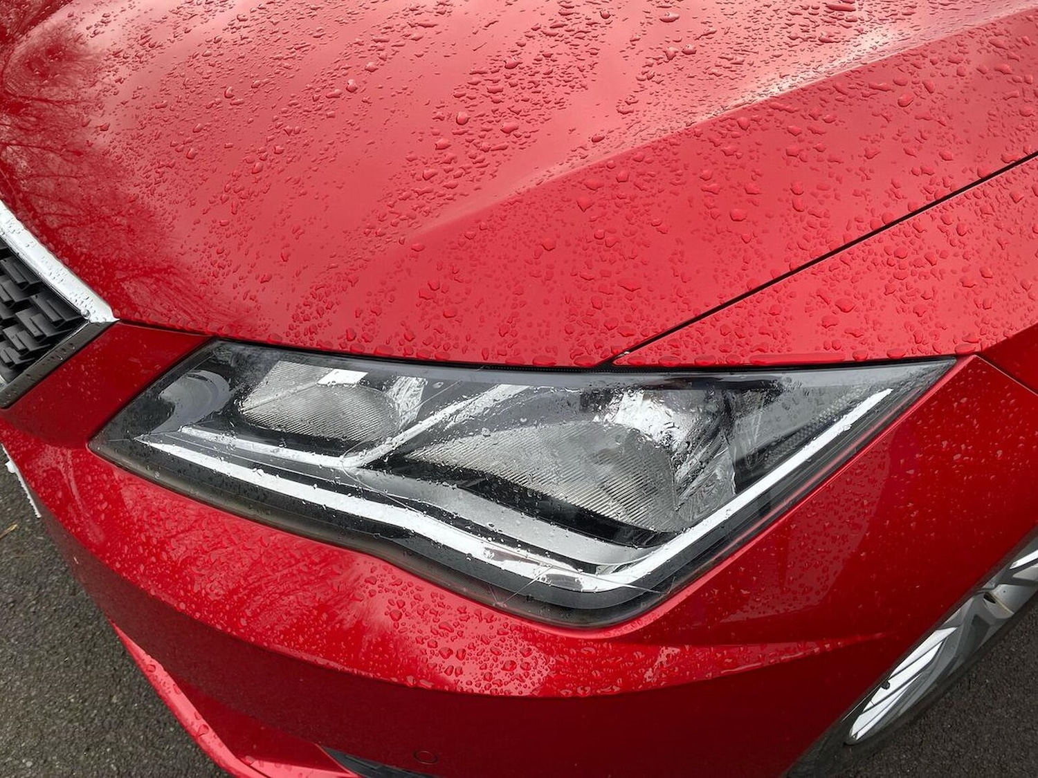 Used SEAT Leon 2019 for sale - 77980050: Photo 34