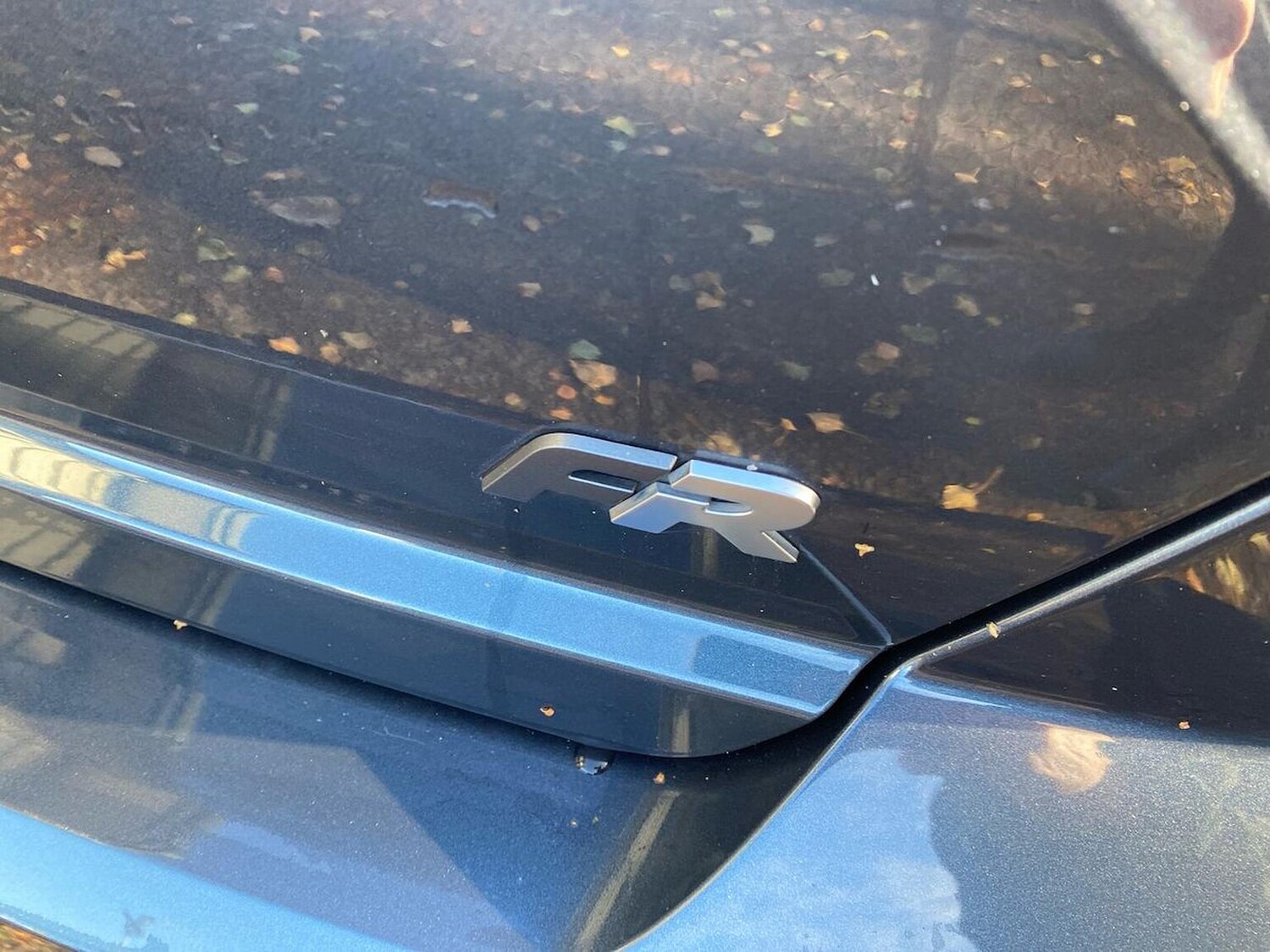 Used SEAT Ibiza 2023 for sale - 76599208: Photo 33