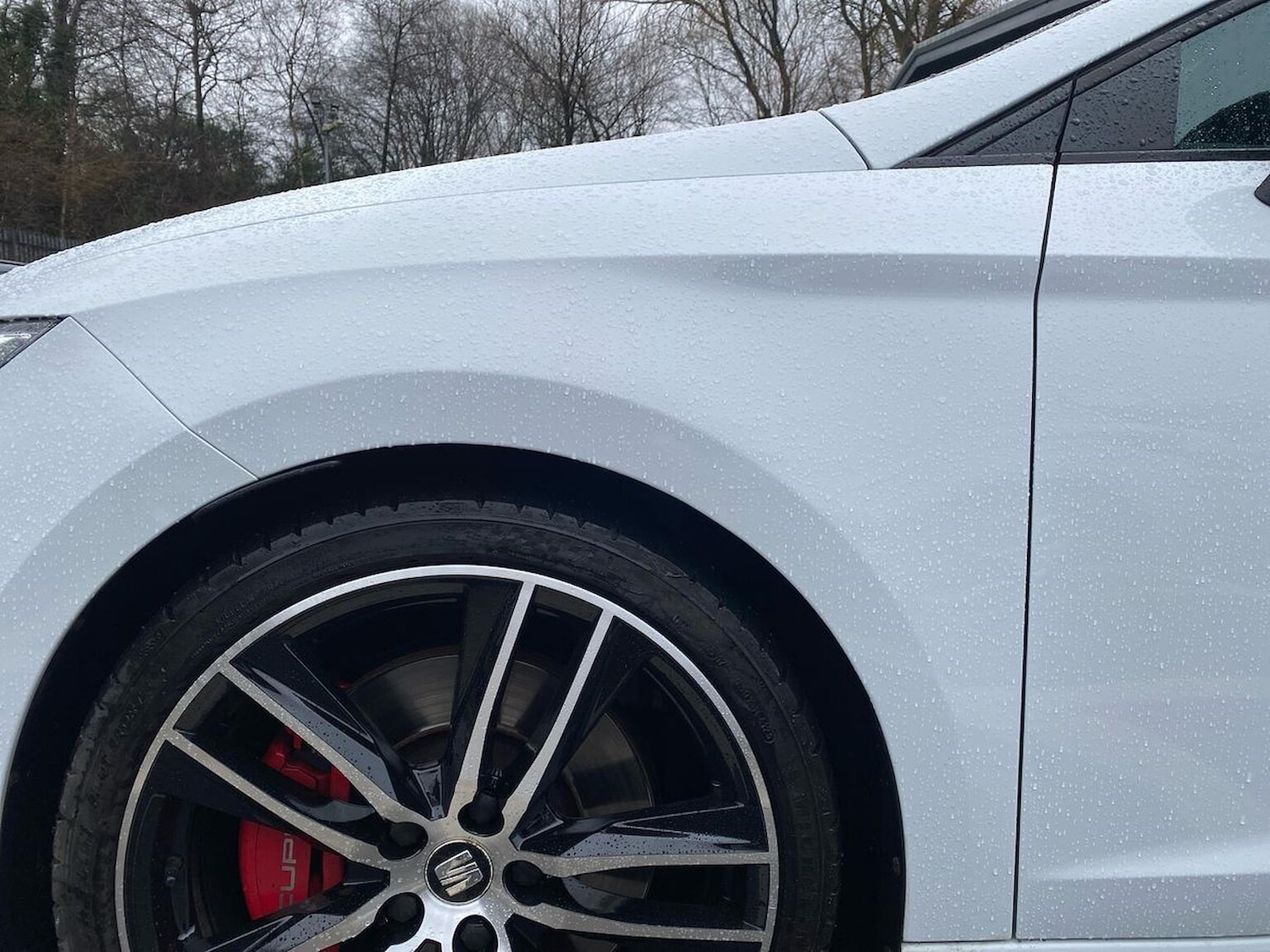 Used SEAT Leon 2017 for sale - 77896297: Photo 35