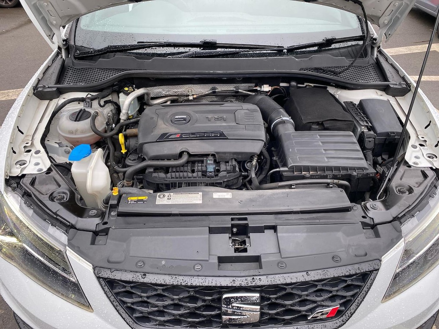 Used SEAT Leon 2017 for sale - 77896297: Photo 39