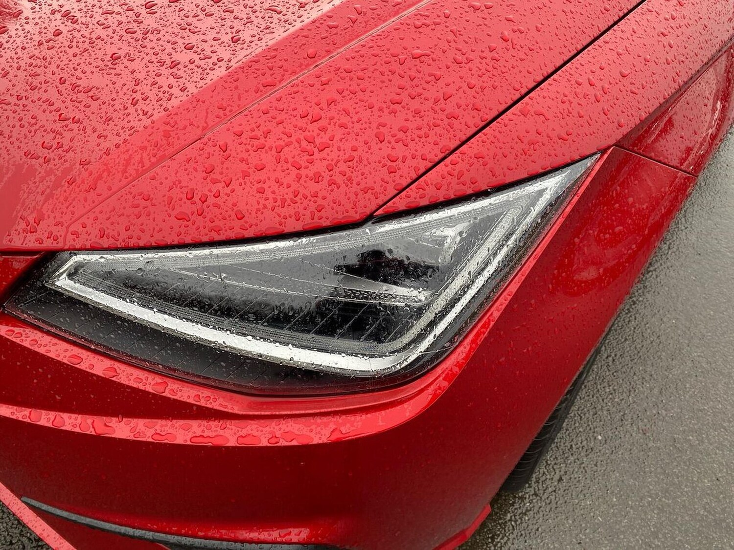 Used SEAT Ibiza 2025 for sale - 76940487: Photo 33