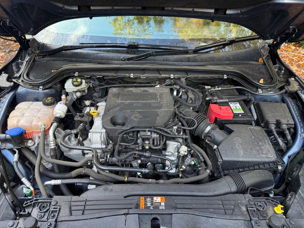 Used Ford Focus 2019 for sale - 76559305: Photo 24