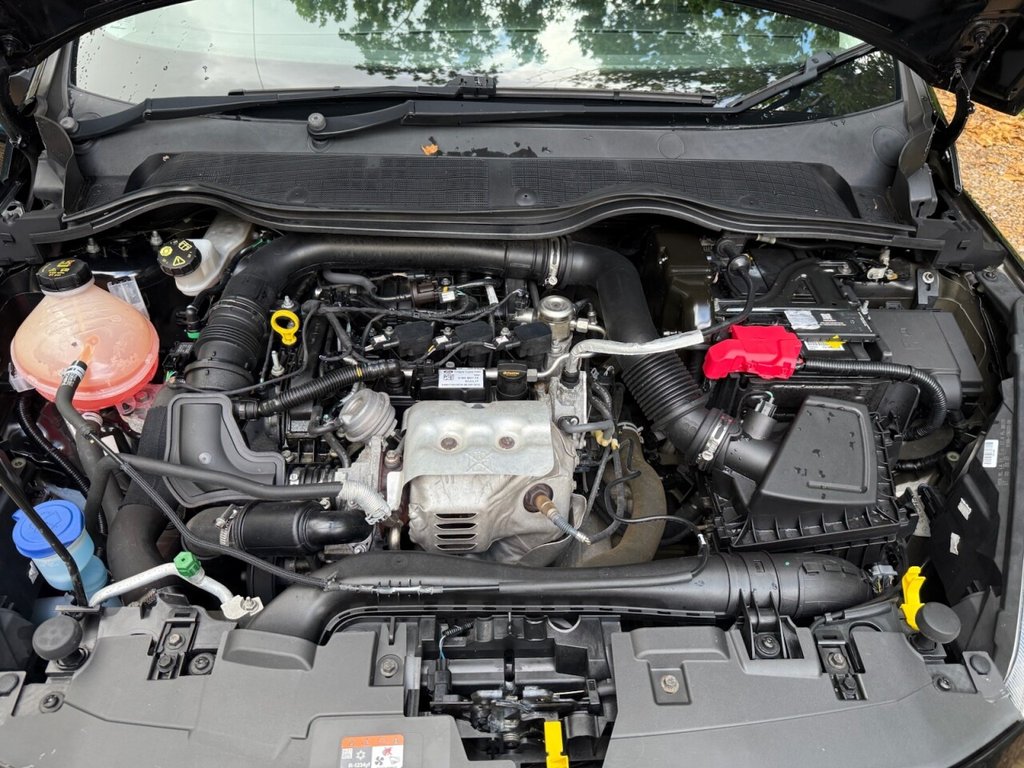 Used Ford Fiesta 2017 for sale - 75699901: Photo 29