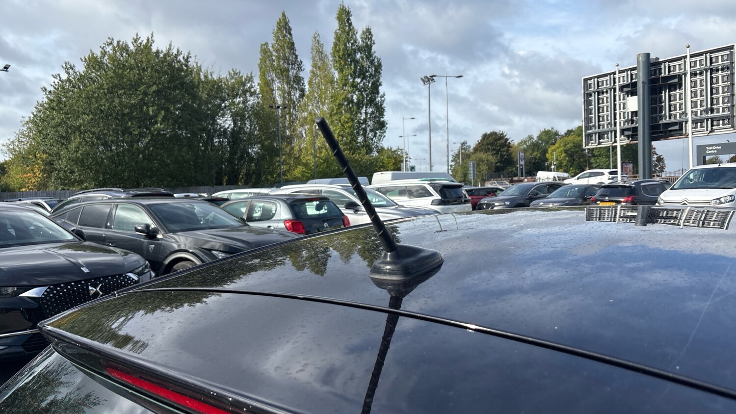 Used Volkswagen Polo 2023 for sale - 76110286: Photo 28