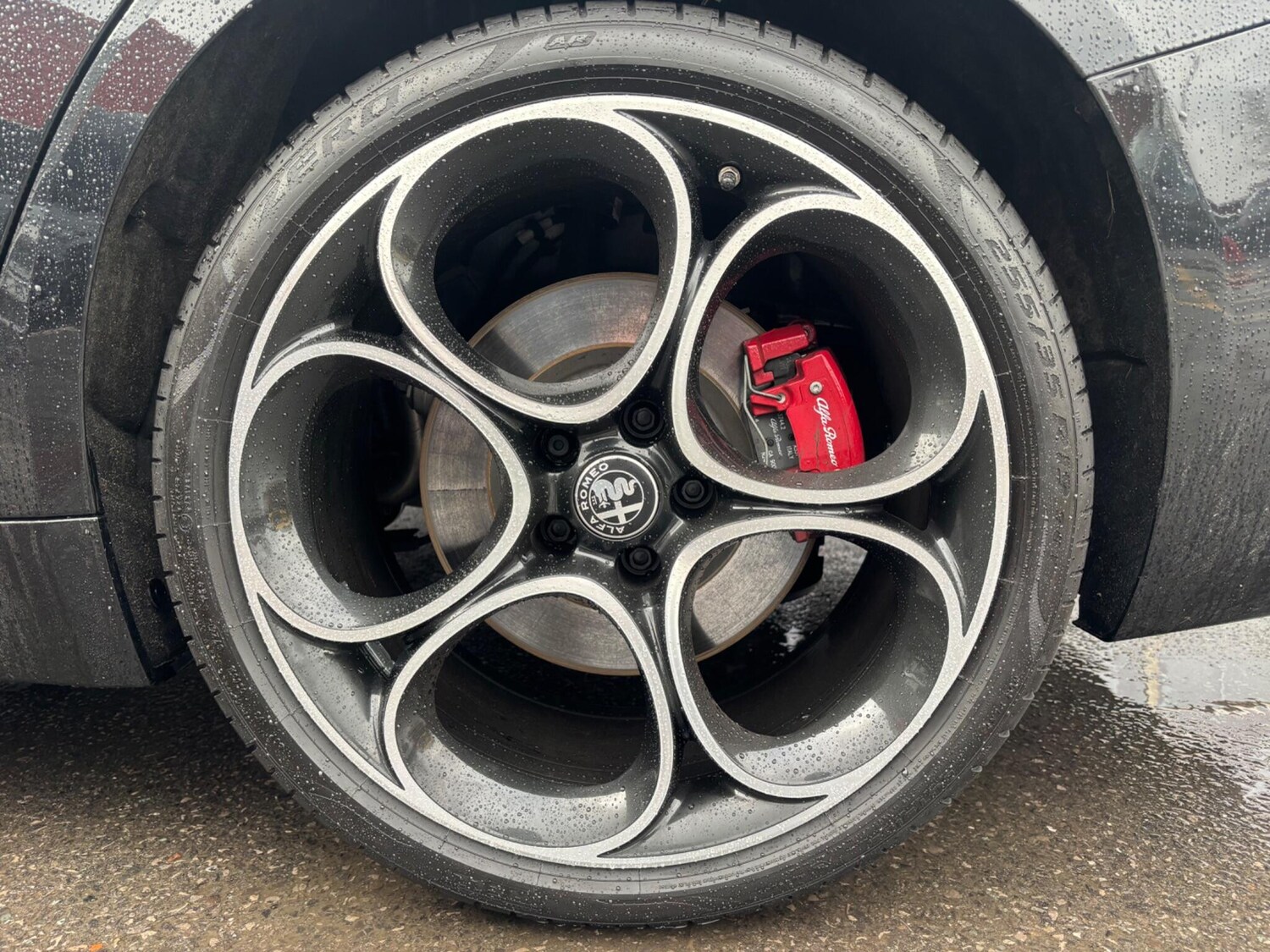 Used Alfa Romeo Giulia 2025 for sale - 77525624: Photo 14