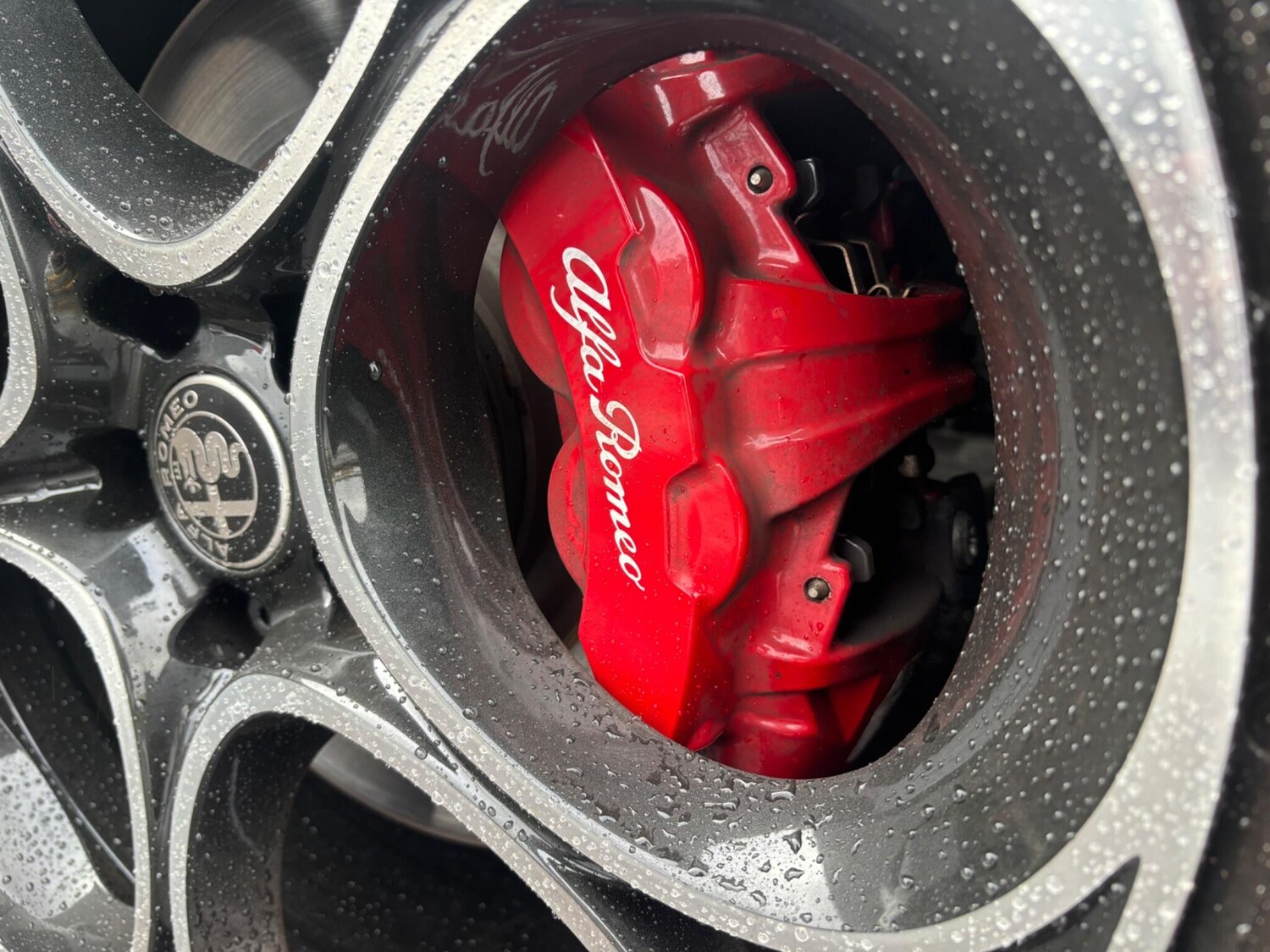 Used Alfa Romeo Giulia 2025 for sale - 77525624: Photo 18