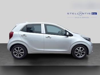 Used Kia Picanto 2023 for sale - 79329214: Photo