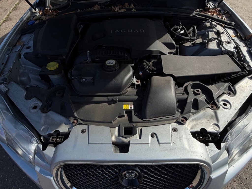 Used Jaguar XF 2010 for sale - 77981641: Photo 11
