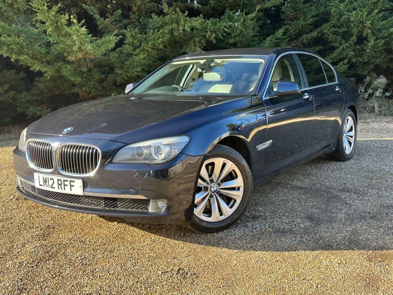 Used BMW 7 Series 2012 for sale - 77337761: Photo 8