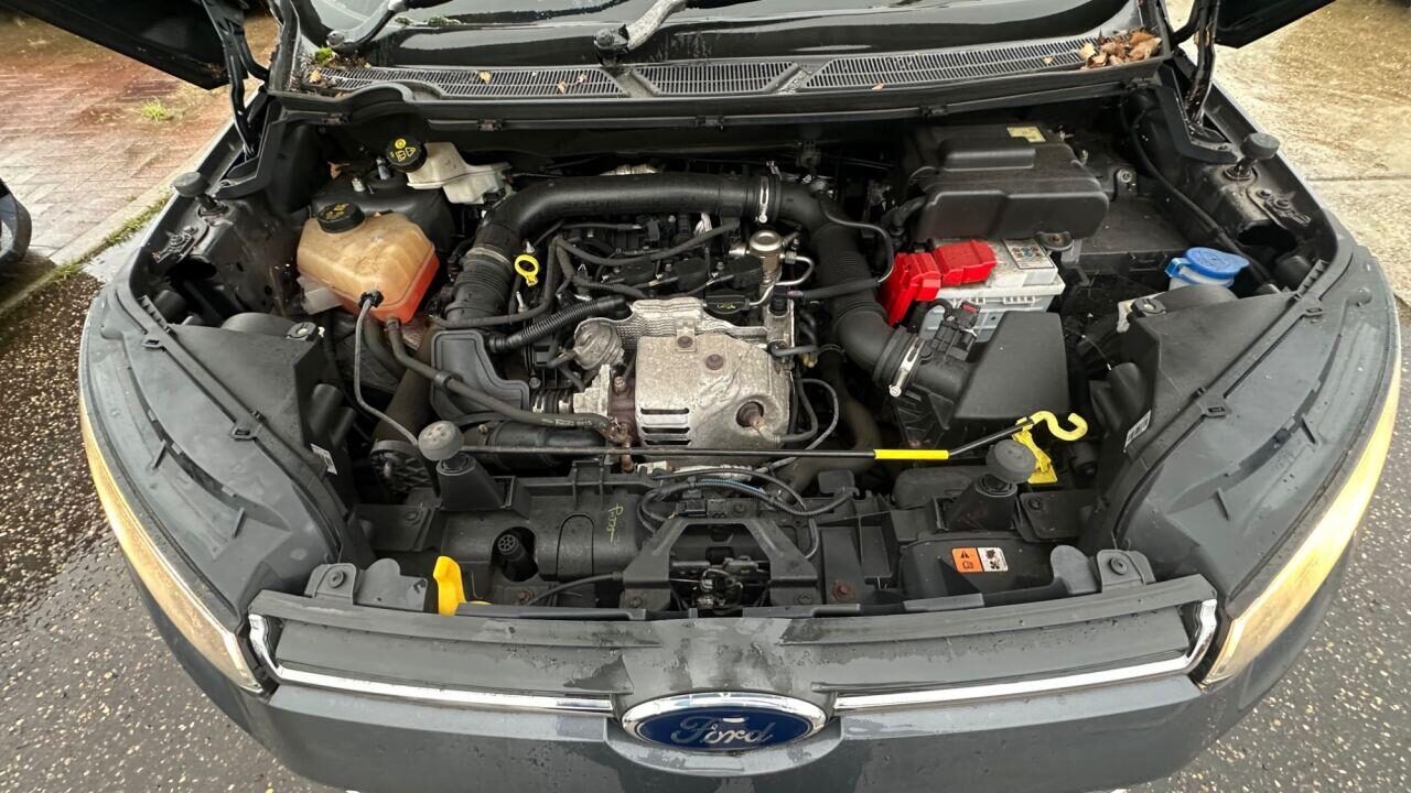 Used Ford Ecosport 2016 for sale - 77337746: Photo 11