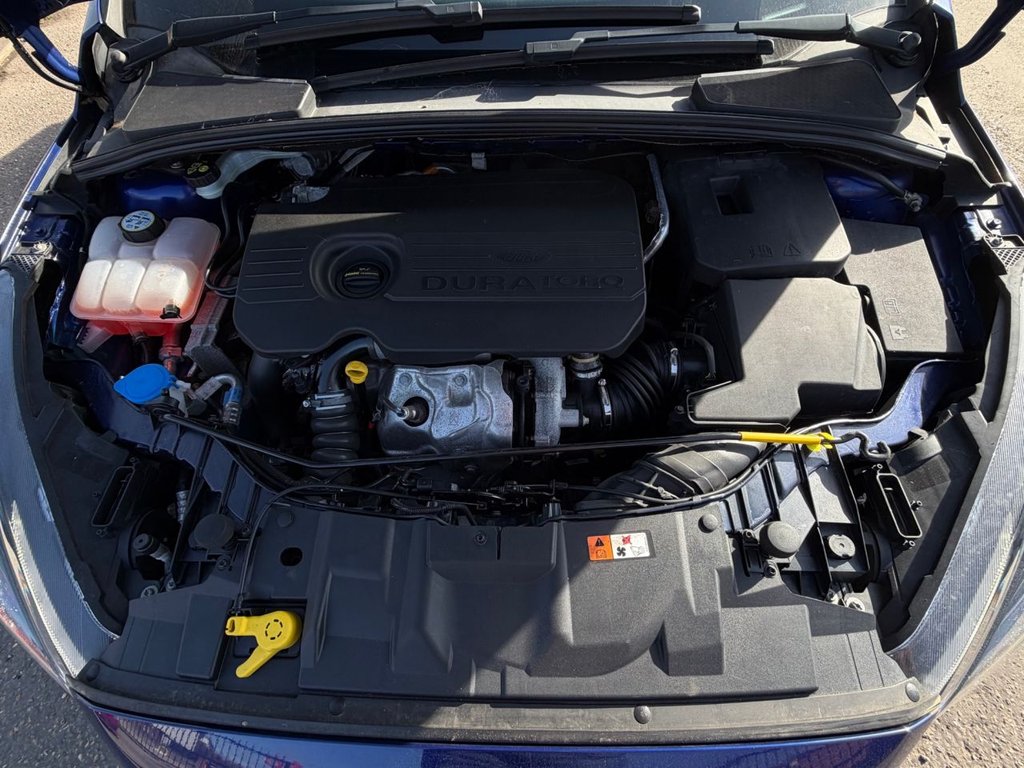 Used Ford Focus 2016 for sale - 77981637: Photo 12