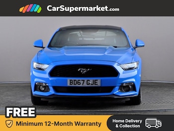 Used Ford Mustang 2017 for sale - 77374279: Photo