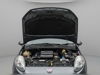 Used Fiat Punto 2013 for sale - 79463574: Photo