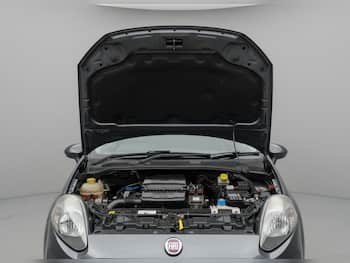 Used Fiat Punto 2013 for sale - 79649575: Photo