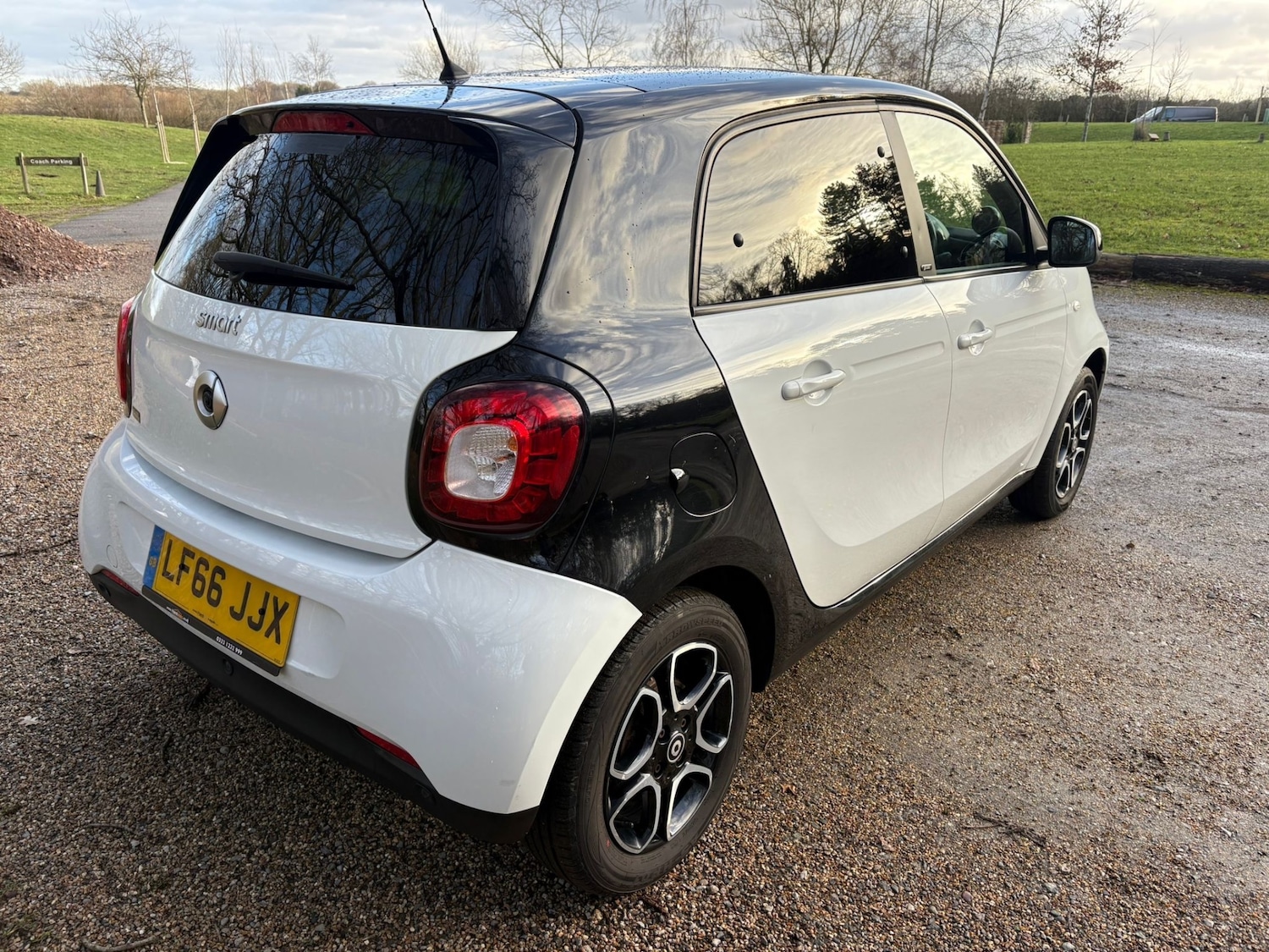 Used smart forfour 2016 for sale - 77127766: Photo 10