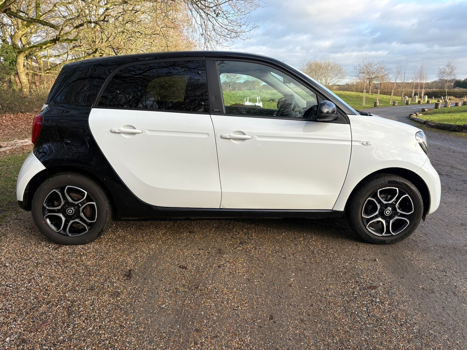 Used smart forfour 2016 for sale - 77127766: Photo 4