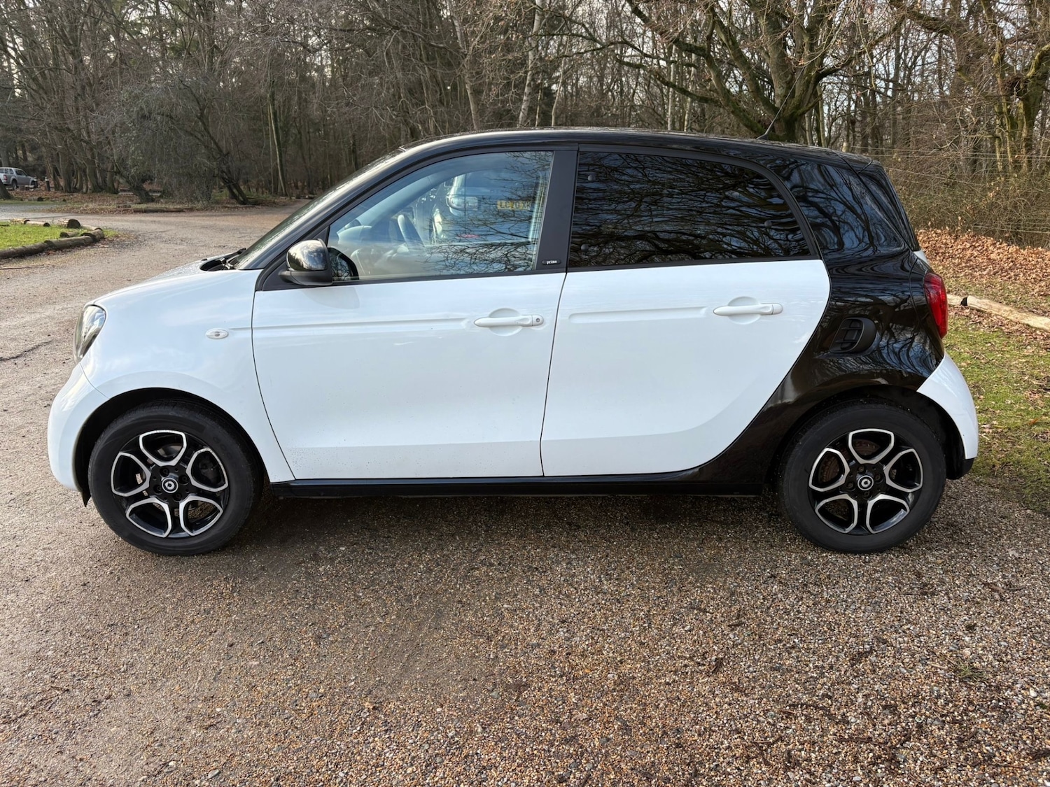 Used smart forfour 2016 for sale - 77127766: Photo 5