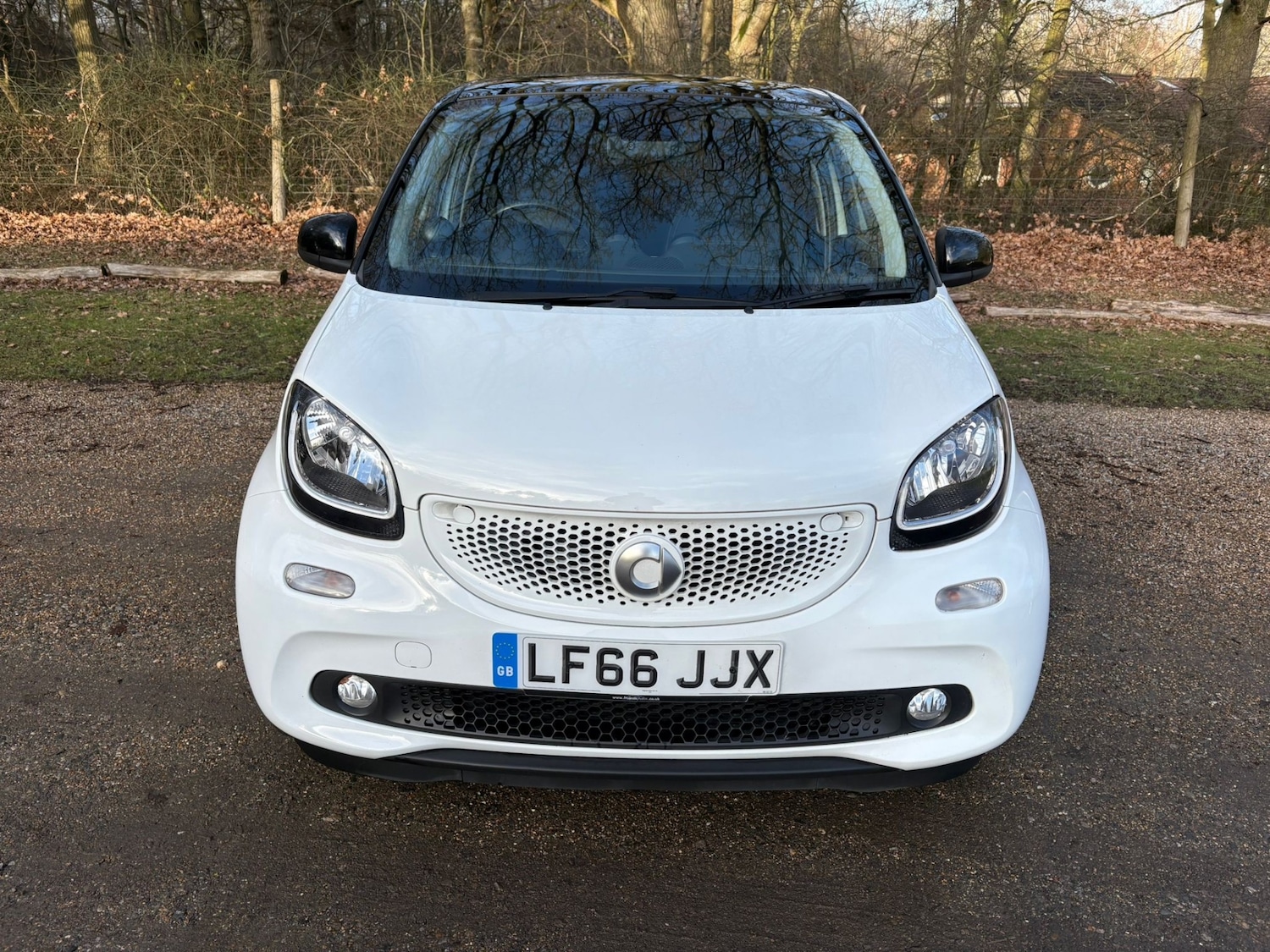 Used smart forfour 2016 for sale - 77127766: Photo 9