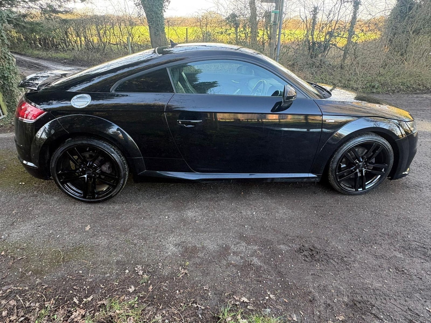 Used Audi TT 2016 for sale - 77758686: Photo 6