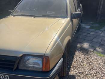 Used Vauxhall Cavalier 1984 for sale - 74636135: Photo
