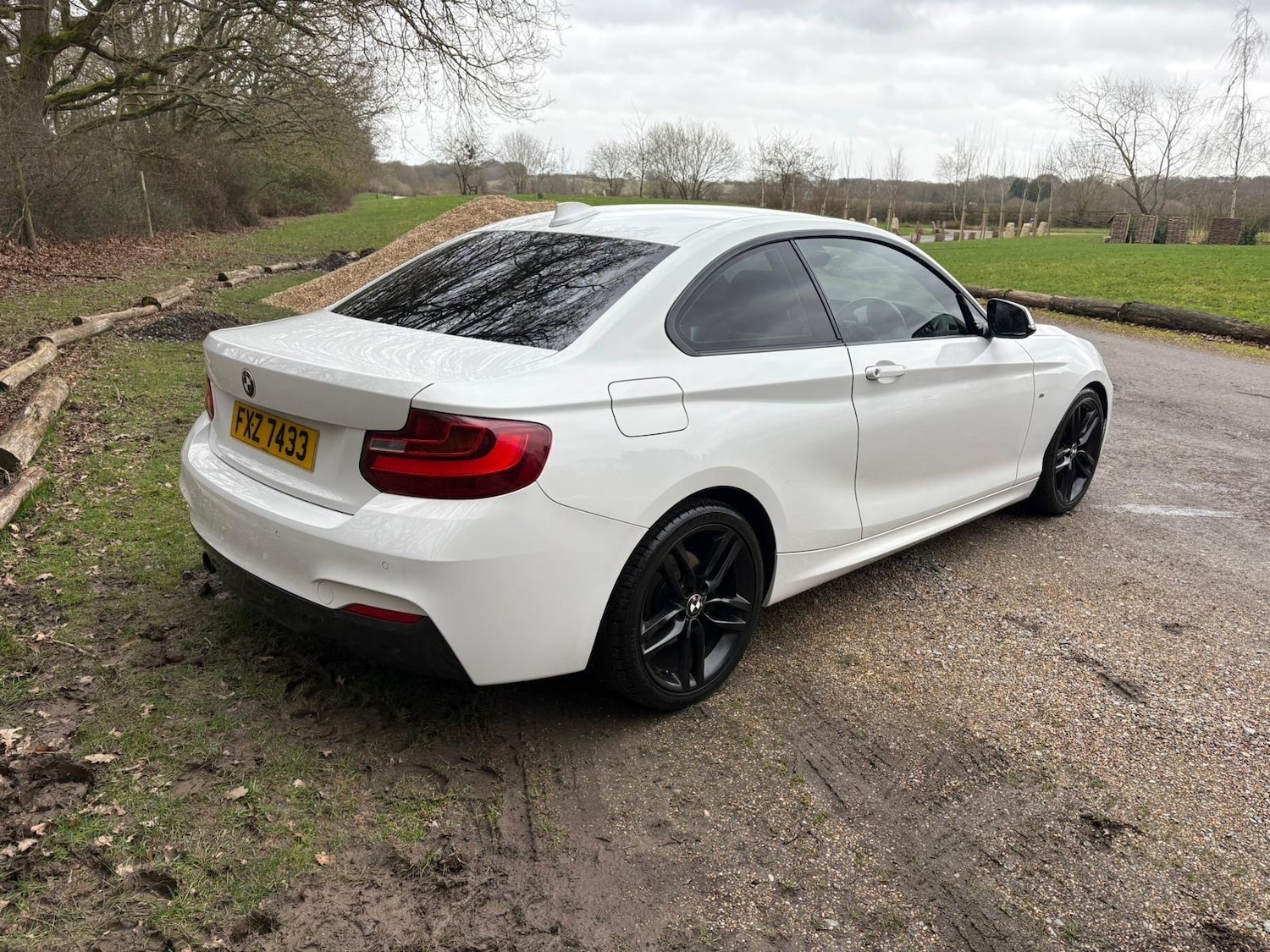 Used BMW 2 Series 2014 for sale - 77864588: Photo 3