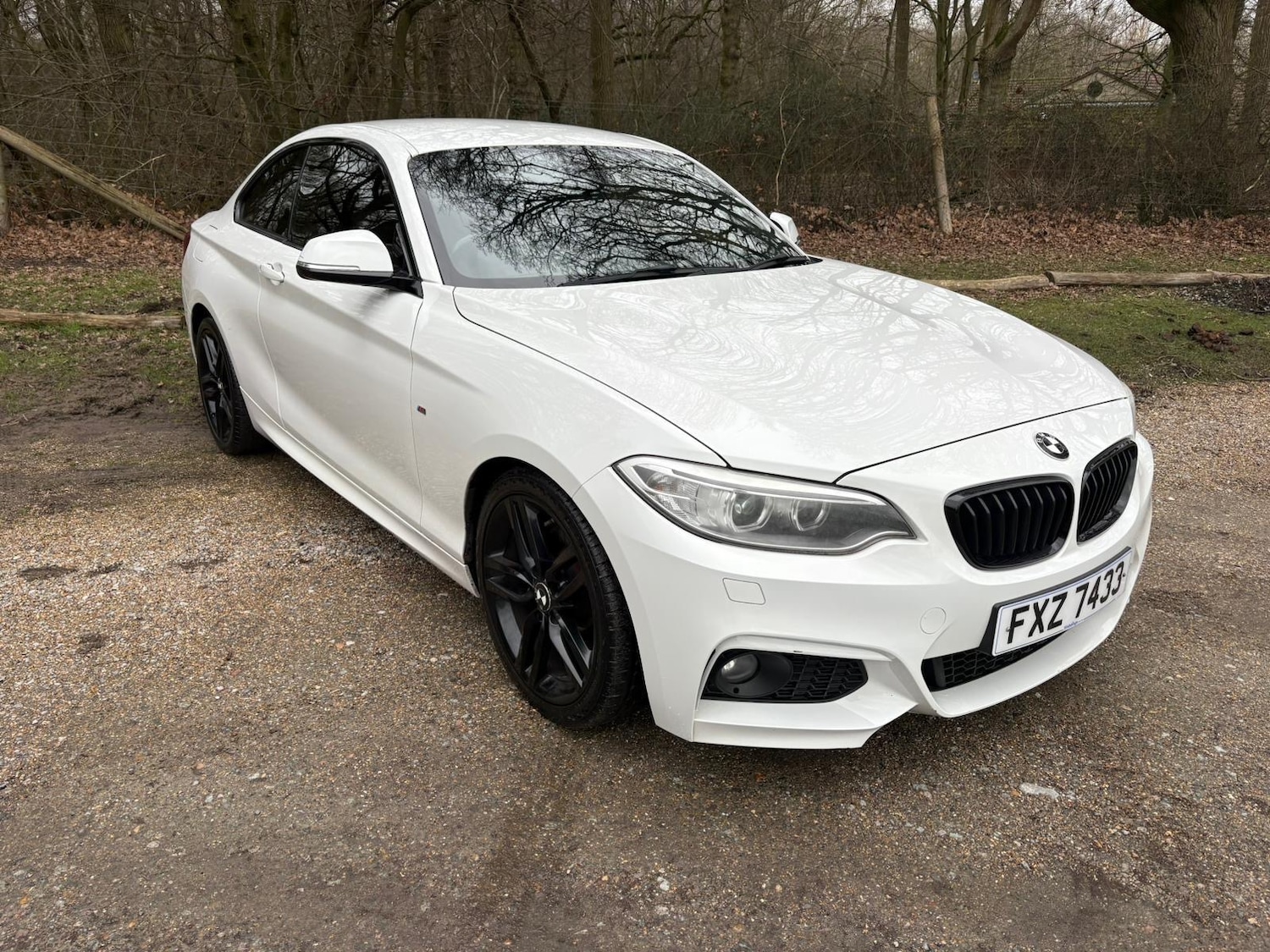 Used BMW 2 Series 2014 for sale - 77864588: Photo 4