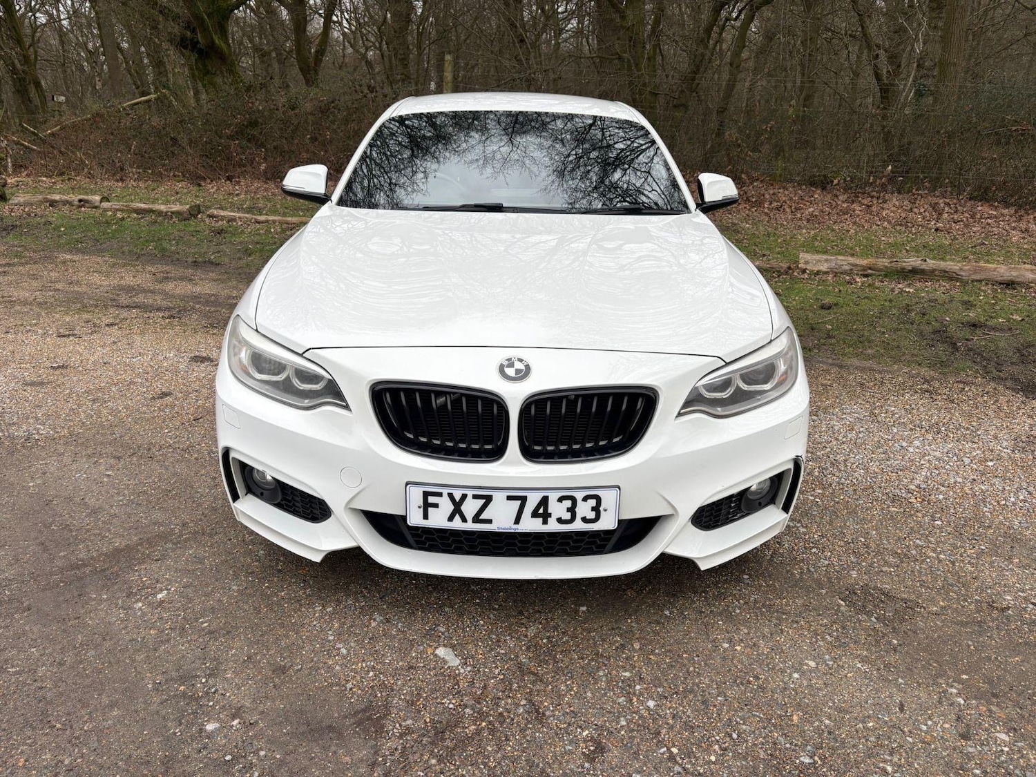 Used BMW 2 Series 2014 for sale - 77864588: Photo 5