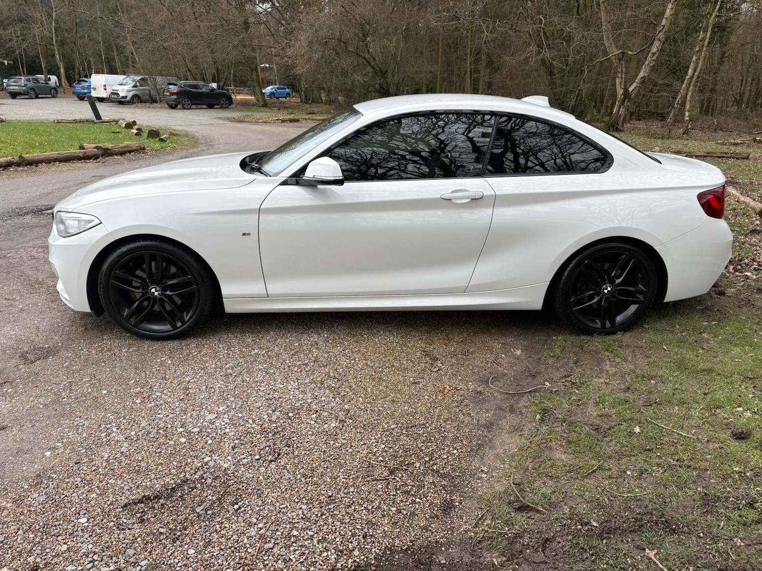 Used BMW 2 Series 2014 for sale - 77864588: Photo 6