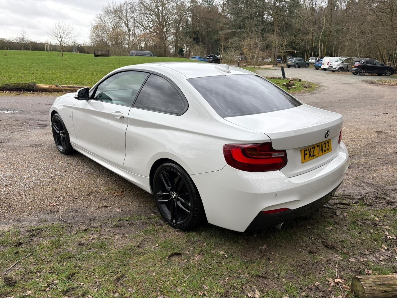 Used BMW 2 Series 2014 for sale - 77864588: Photo 7