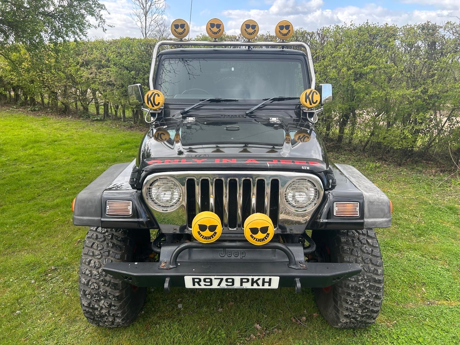 Used Jeep Wrangler 1998 for sale - 78066808: Photo 5