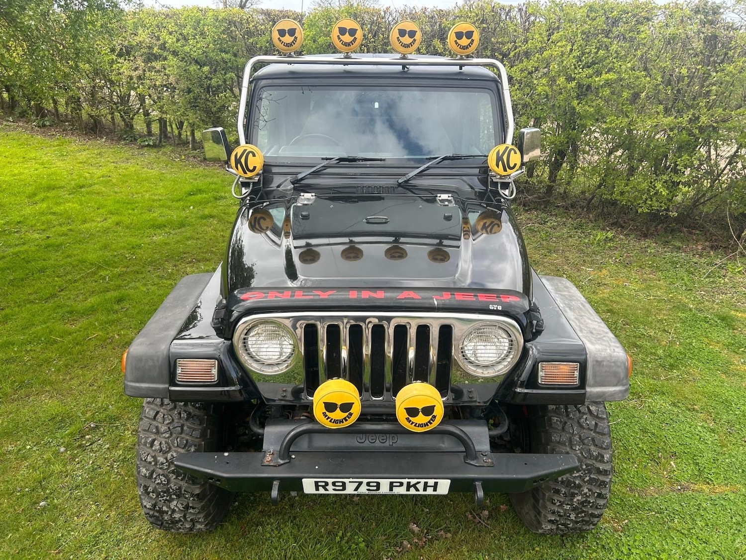 Used Jeep Wrangler 1998 for sale - 78066808: Photo 6