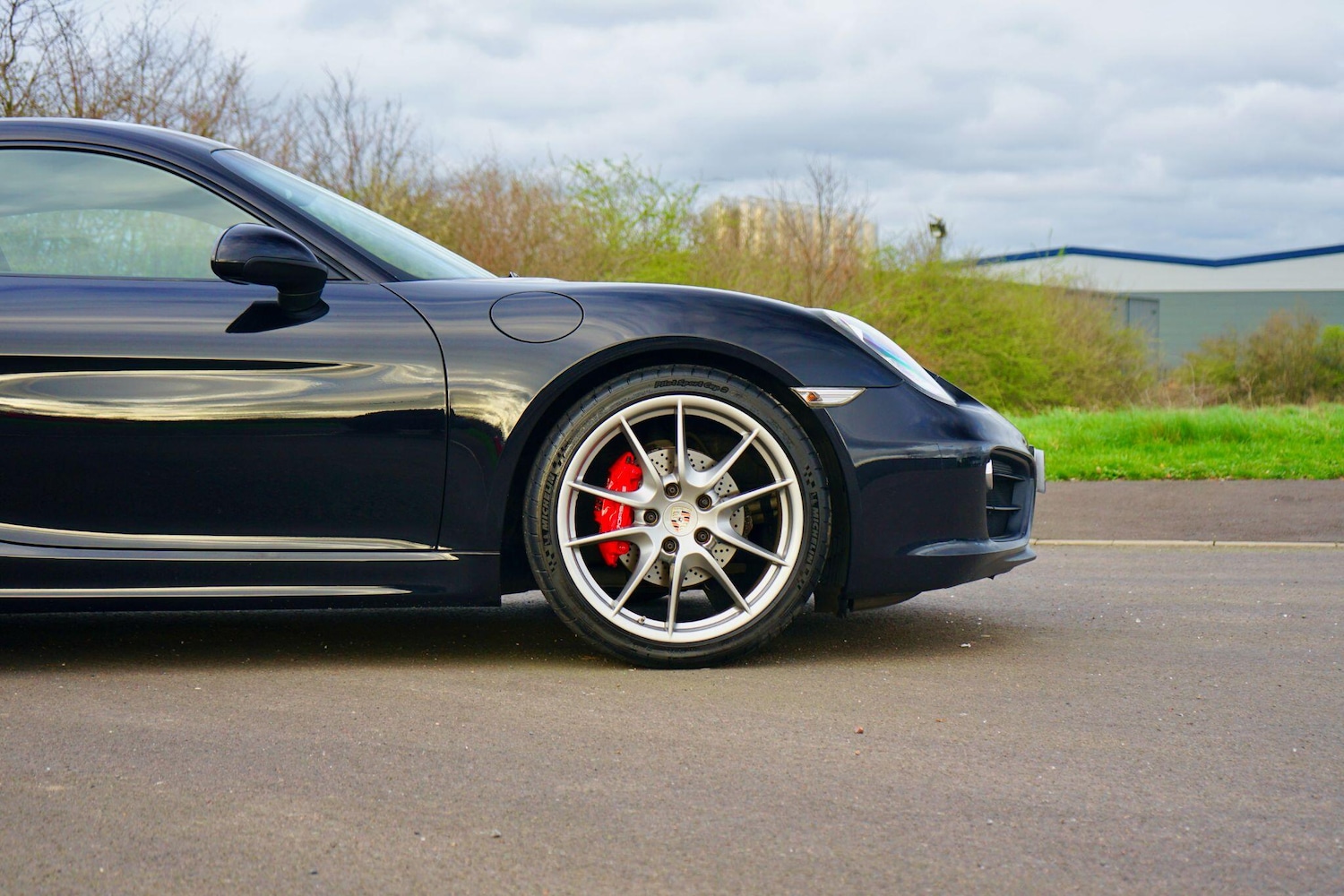 Used Porsche Cayman 2015 for sale - 77909823: Photo 11